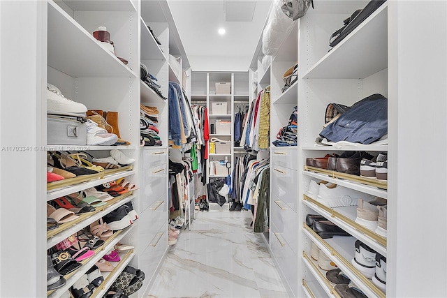 view of spacious closet