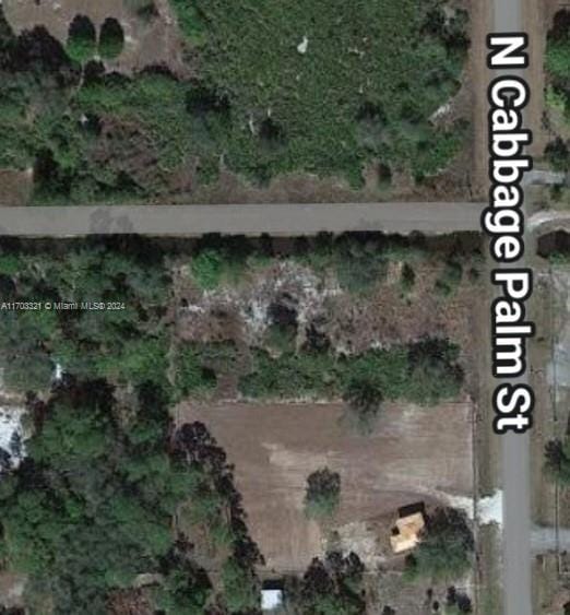 580 N Cabbage Palm, Clewiston, FL 33440 - photo 6