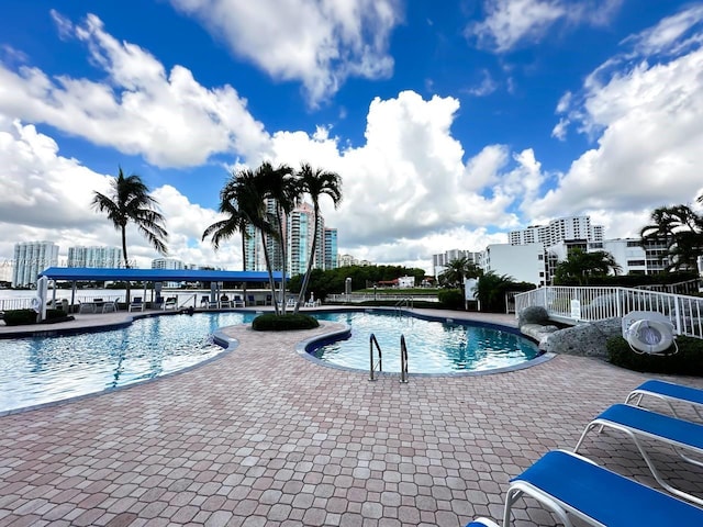 view of swimming pool featuring a patio