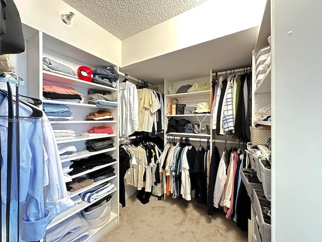 walk in closet featuring light colored carpet