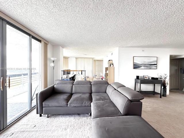 living room featuring a textured ceiling and carpet floors