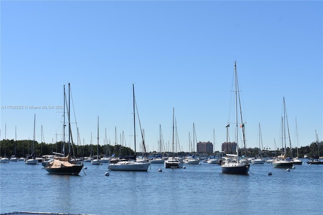 view of water feature featuring a boat dock