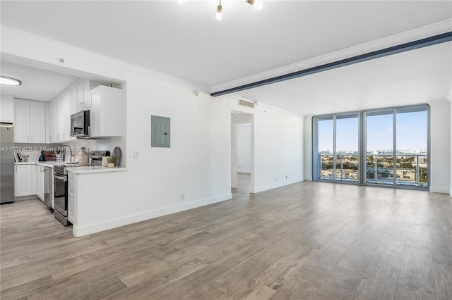 unfurnished living room with light hardwood / wood-style flooring, ornamental molding, a wall of windows, and electric panel