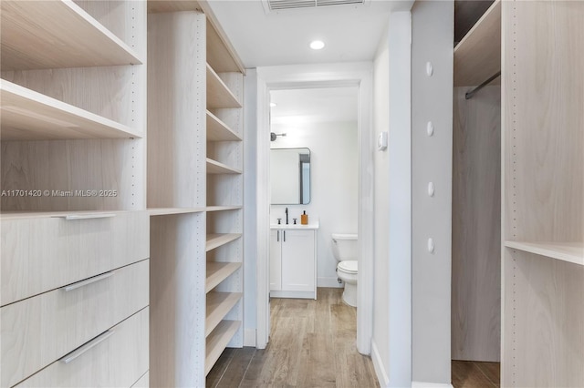 spacious closet with sink and hardwood / wood-style floors