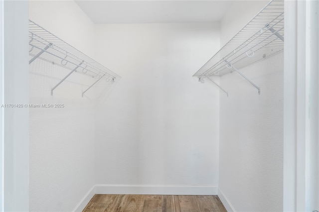 walk in closet featuring hardwood / wood-style floors