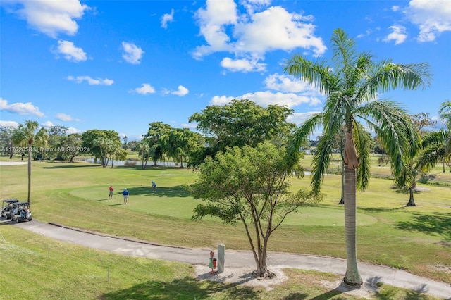 view of home's community with a lawn