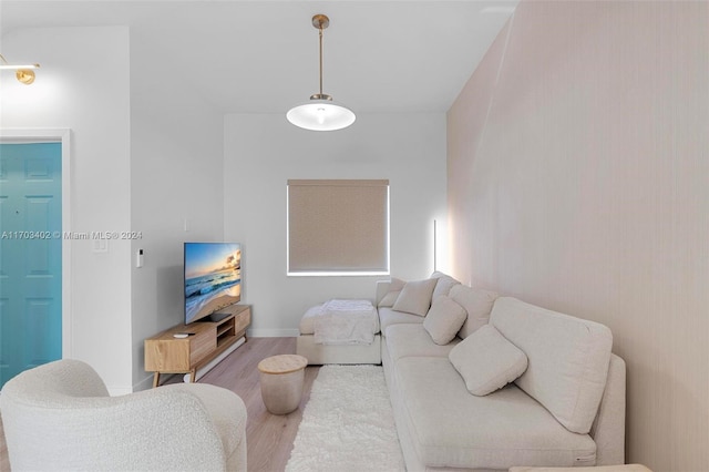 living room with hardwood / wood-style flooring