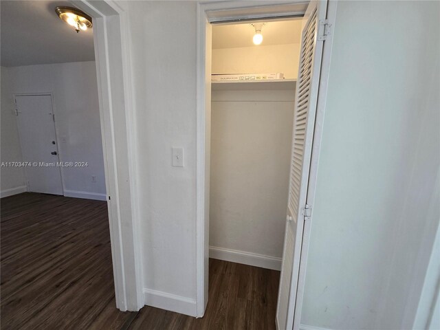 view of closet