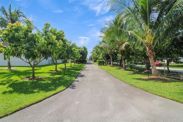 view of community featuring a yard