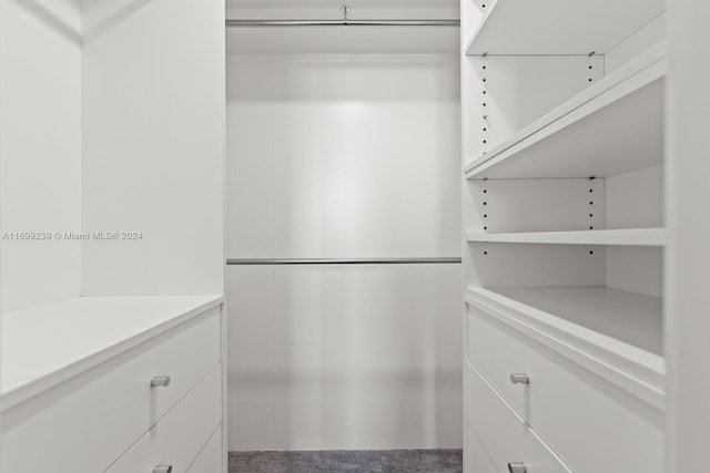 view of walk in closet