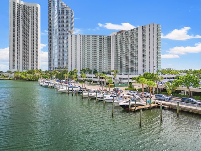 exterior space with a dock