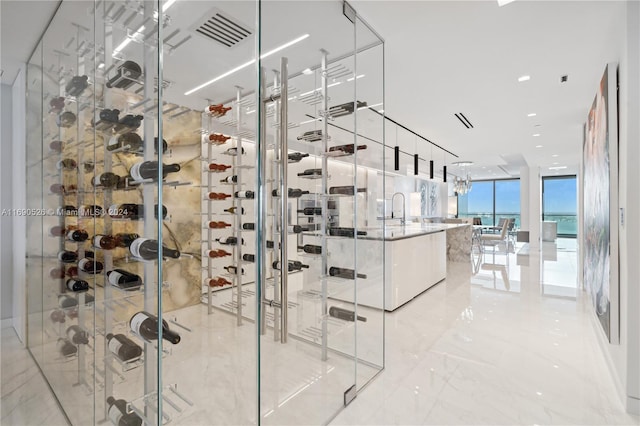 wine cellar featuring expansive windows