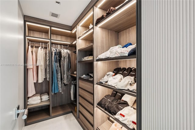 view of walk in closet