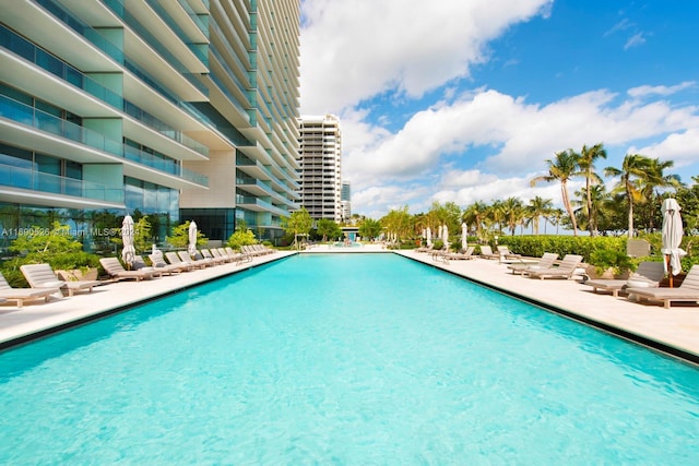 view of swimming pool with a patio area