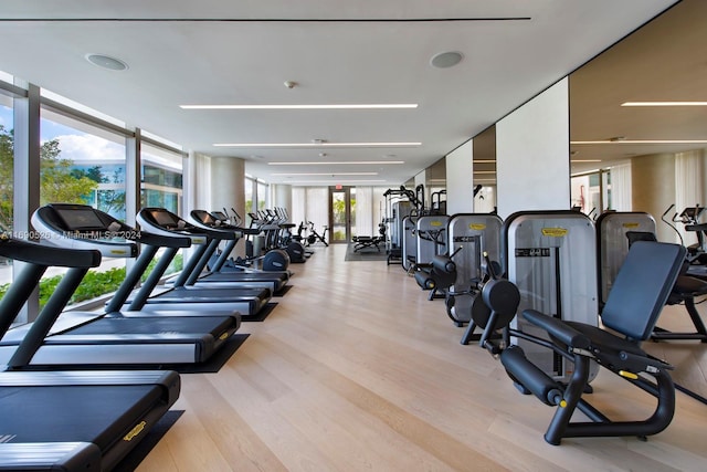 exercise room with expansive windows and light hardwood / wood-style floors