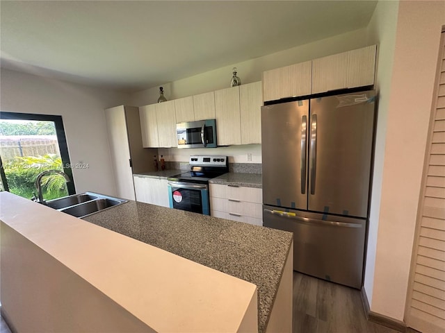 kitchen featuring dark hardwood / wood-style flooring, sink, and appliances with stainless steel finishes