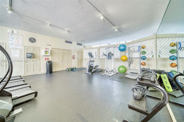 workout area with a textured ceiling, a healthy amount of sunlight, and rail lighting