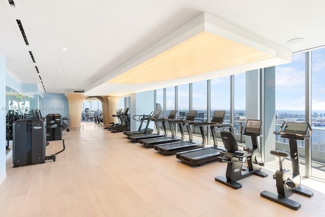 workout area featuring floor to ceiling windows and wood-type flooring