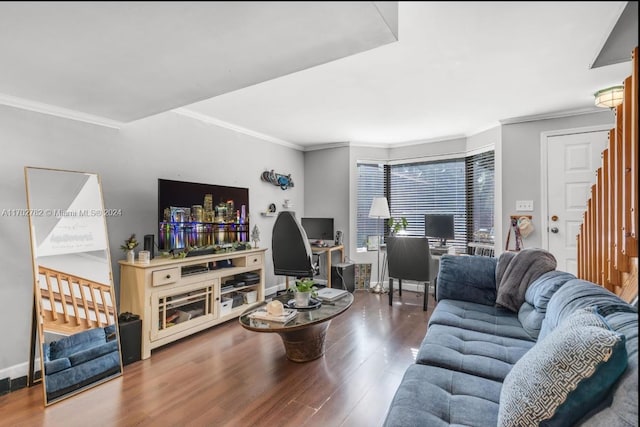 living room with crown molding and wood-type flooring