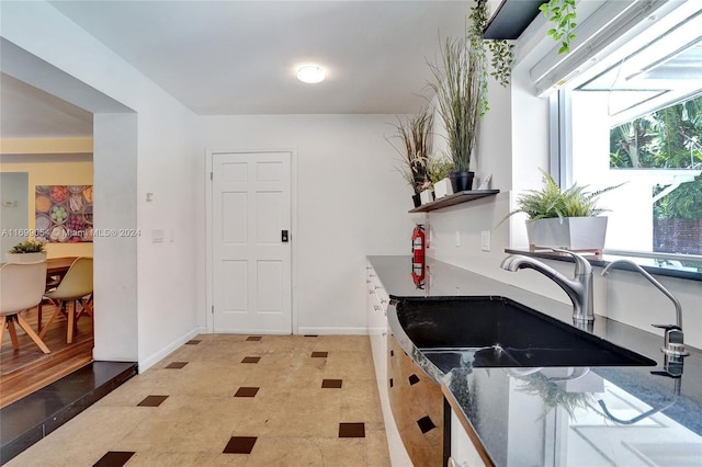 kitchen with sink and light wood-type flooring