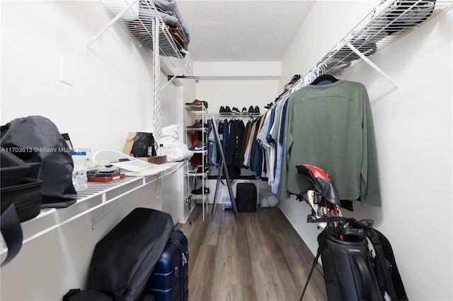 spacious closet featuring hardwood / wood-style floors