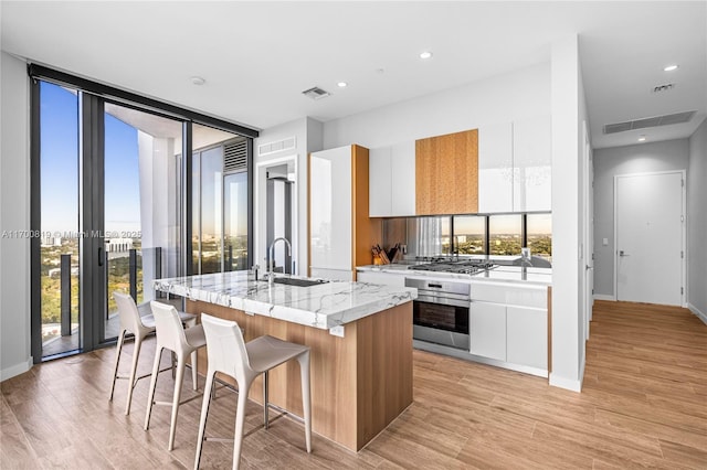 kitchen with white cabinetry, sink, light stone countertops, an island with sink, and appliances with stainless steel finishes