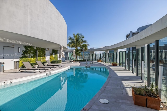 view of pool with a patio