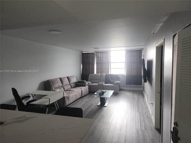 living room featuring light hardwood / wood-style floors