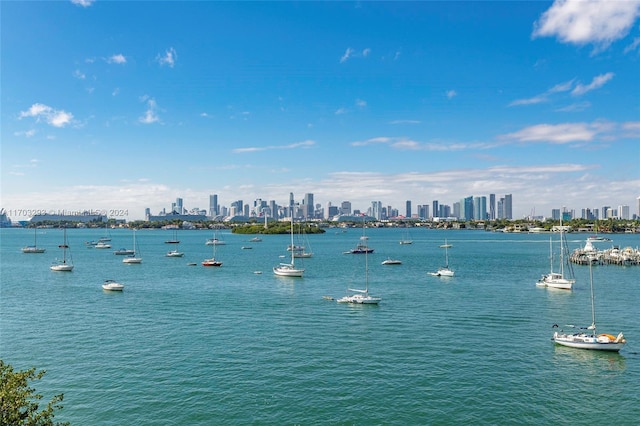 1470 16th St Unit 501, Miami Beach, FL 33139 - water view with skyline