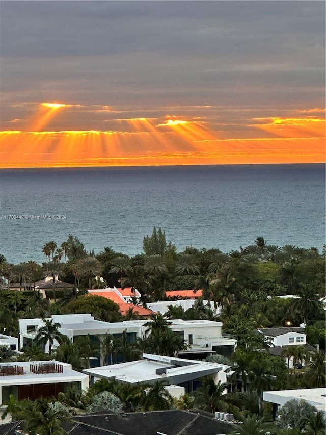 property view of water