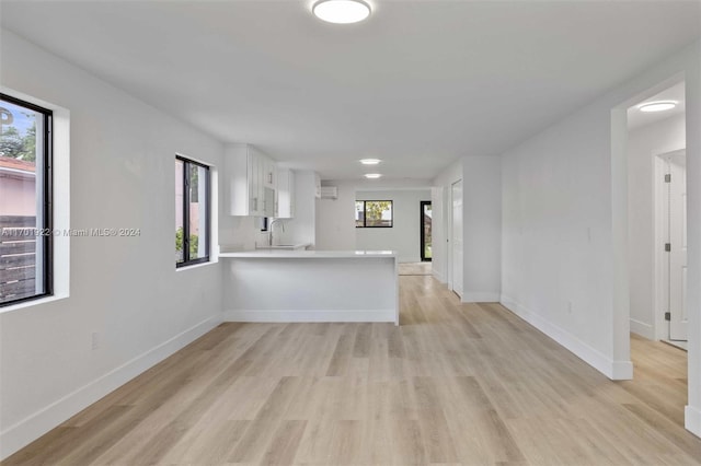 unfurnished living room with plenty of natural light and light hardwood / wood-style floors