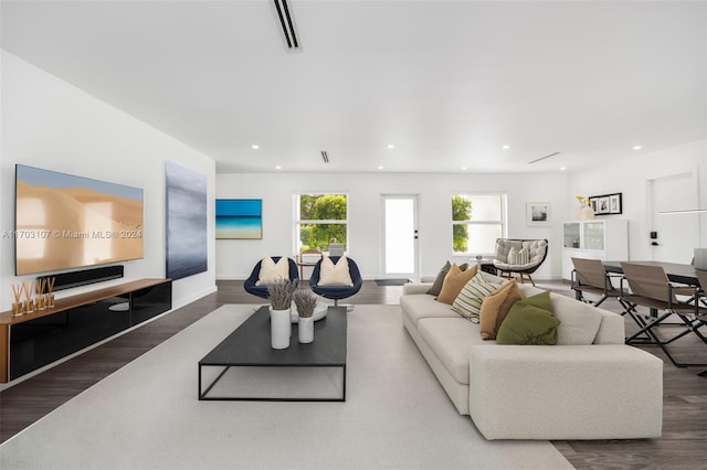 living room featuring wood-type flooring