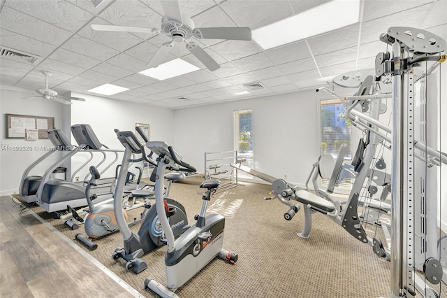 workout area with ceiling fan, a drop ceiling, and hardwood / wood-style flooring