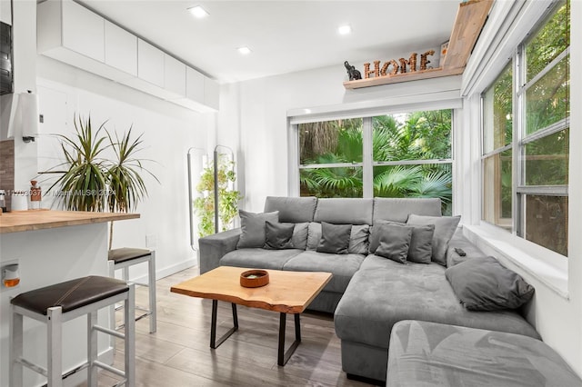 living room featuring hardwood / wood-style floors