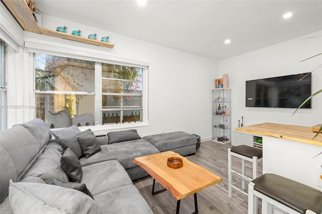 living room with light wood-type flooring