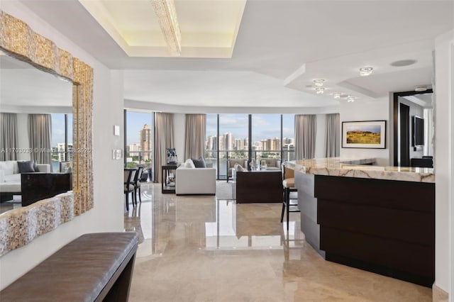 interior space with a tray ceiling and a wall of windows