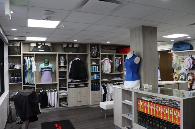 walk in closet with a drop ceiling and wood-type flooring