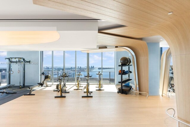 gym with a water view, a wall of windows, and light hardwood / wood-style floors