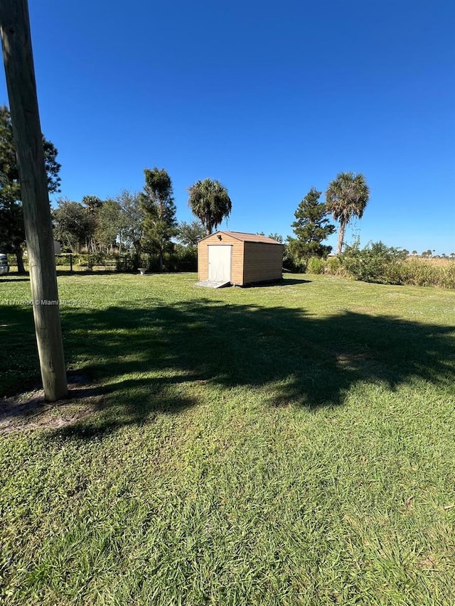 view of yard with a storage unit