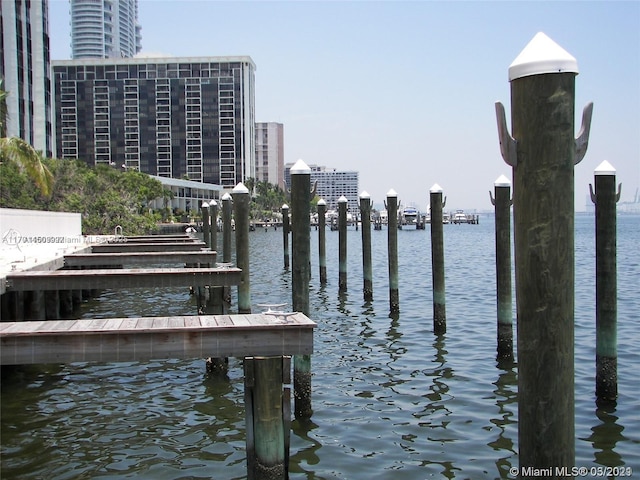 dock area with a water view and a city view