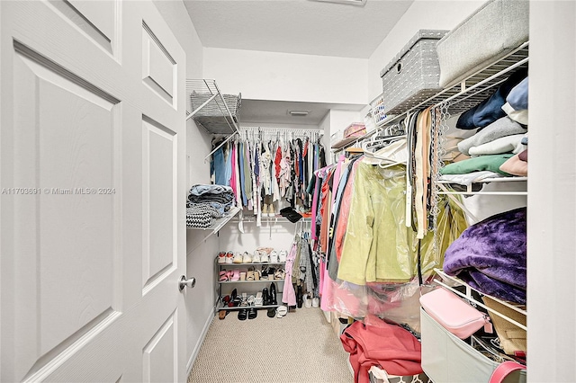 spacious closet featuring carpet flooring