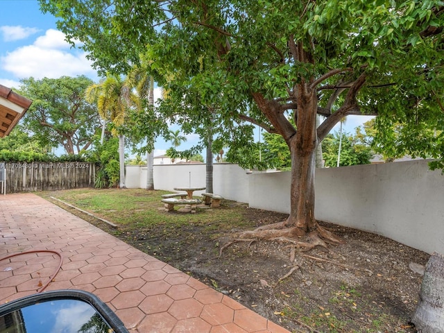 view of yard with a patio area