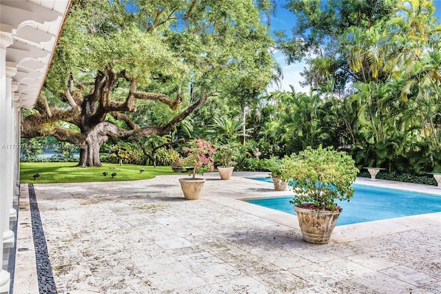 view of pool featuring a yard and a patio