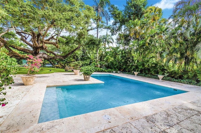 view of swimming pool with a patio area