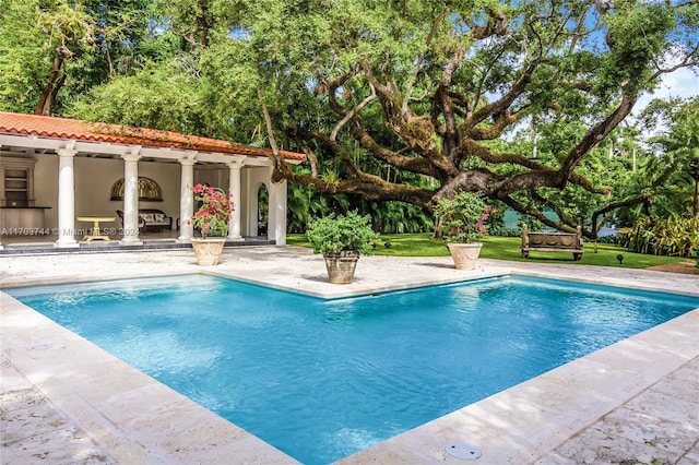 view of pool with a patio