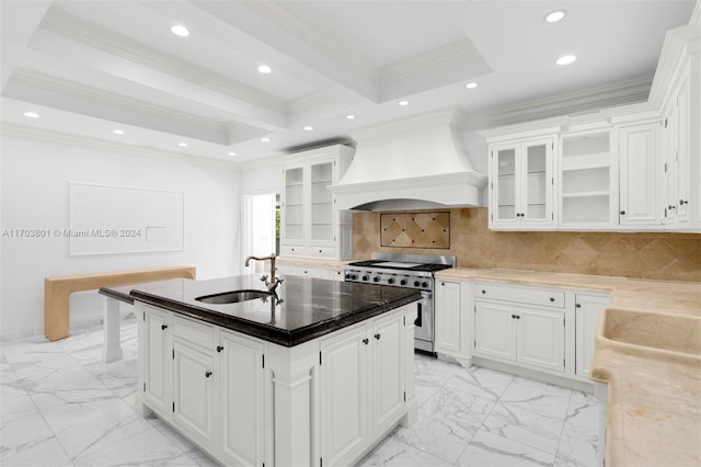 kitchen with decorative backsplash, custom range hood, high end stove, sink, and white cabinetry