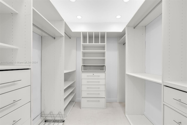 spacious closet featuring light carpet