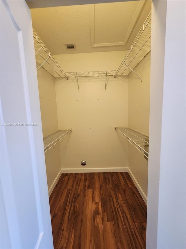 walk in closet with dark wood-type flooring