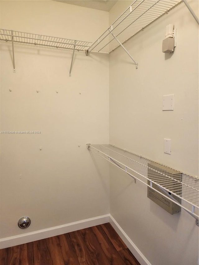 spacious closet with wood-type flooring