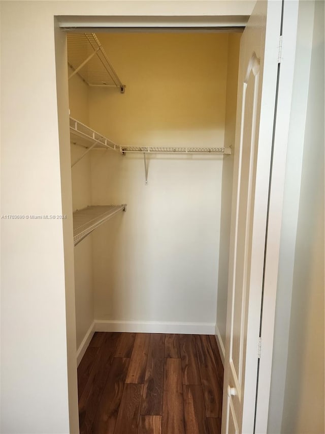 spacious closet with dark wood-type flooring